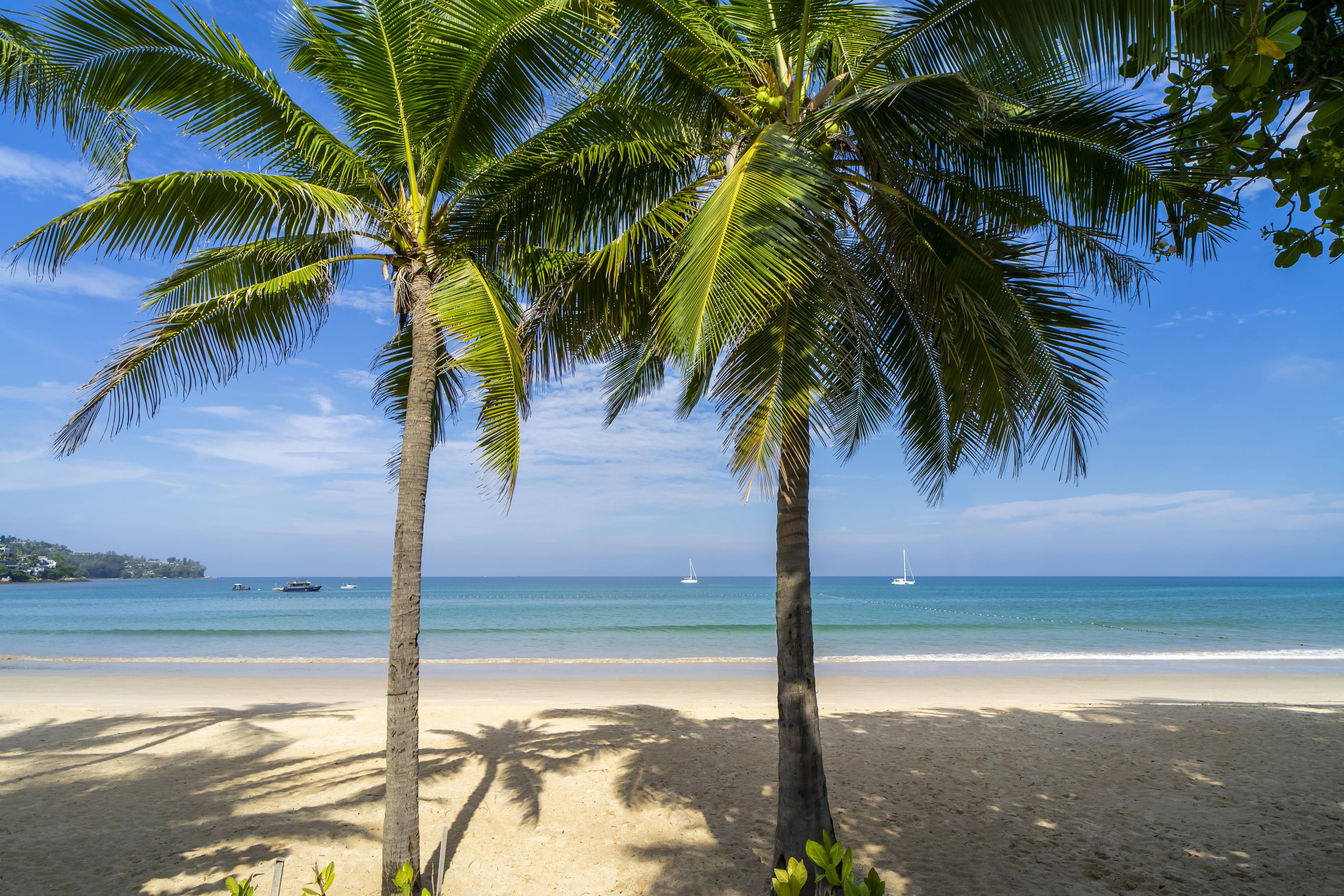Sunprime Kamala Beach (Adults Only) Екстер'єр фото
