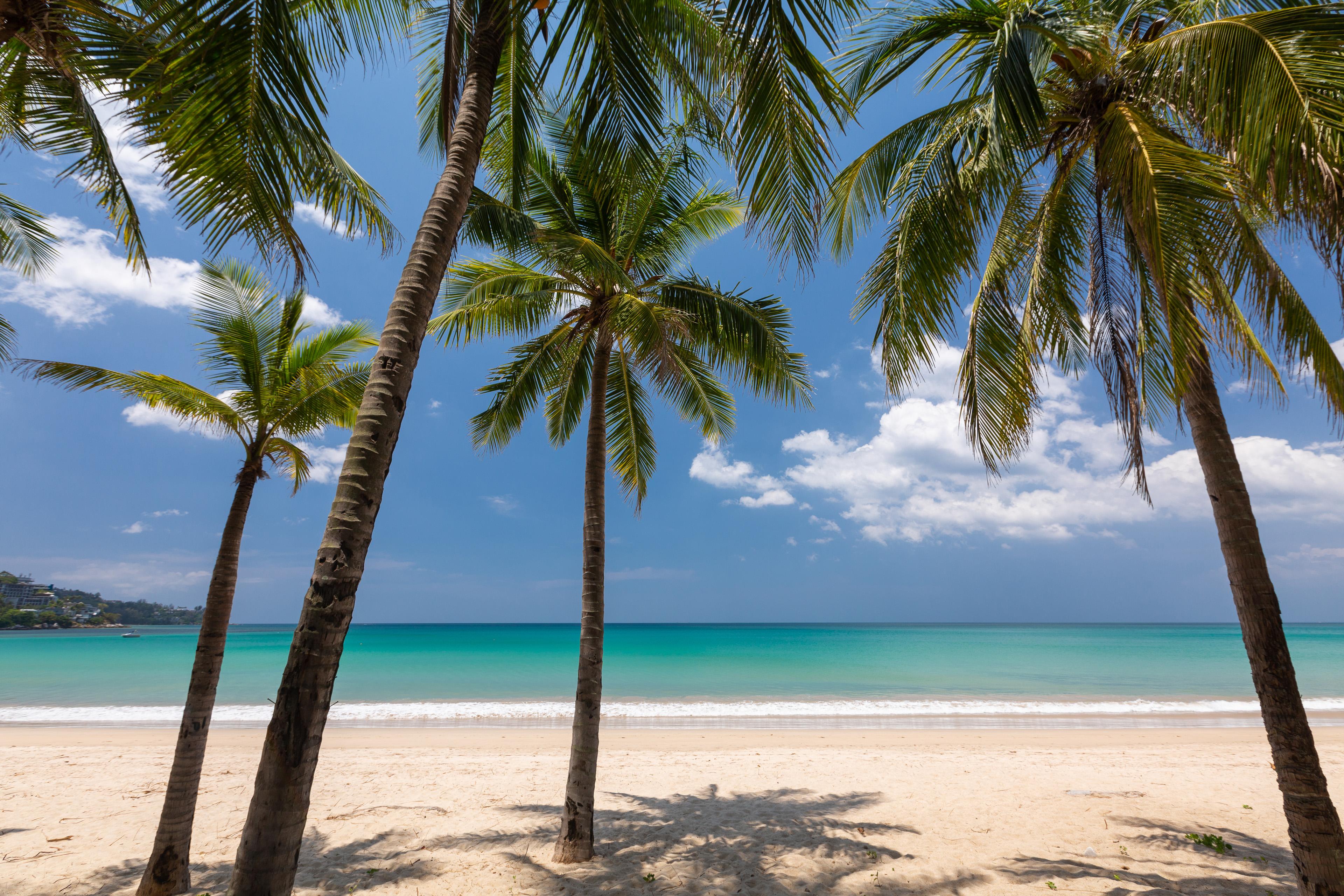 Sunprime Kamala Beach (Adults Only) Екстер'єр фото